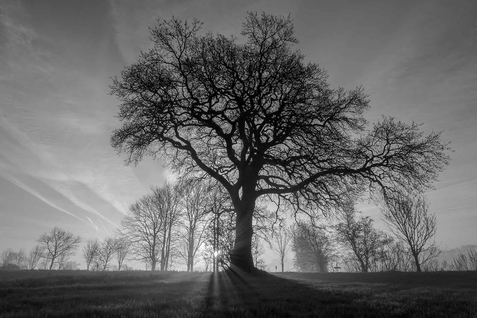 In stiller Trauer nehmen wir Abschied